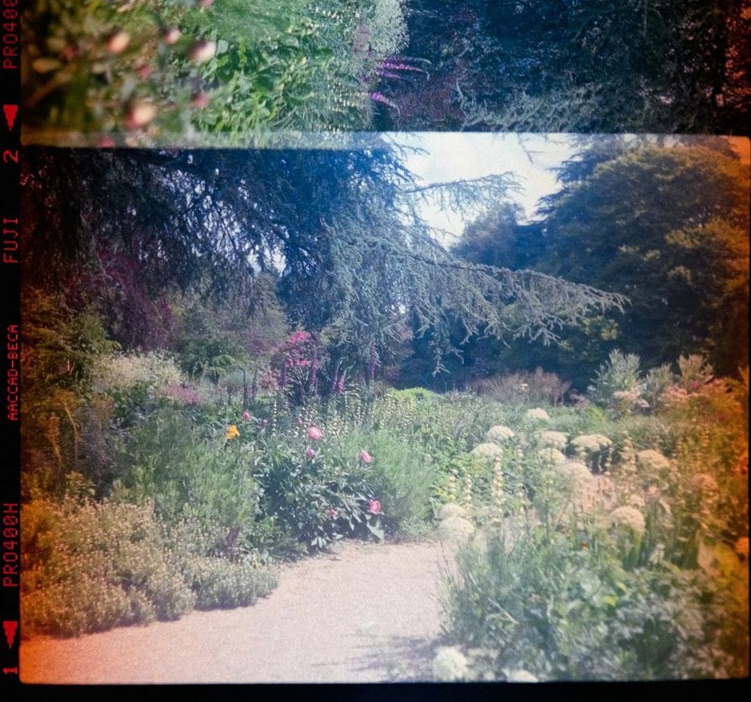 Jardin Harmonie 11