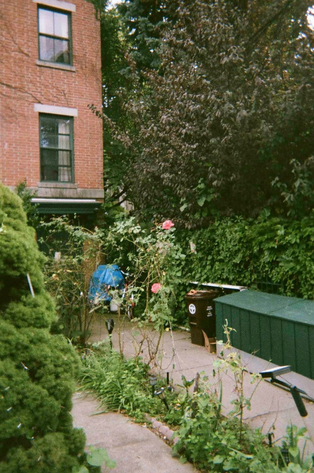 Jardin Harmonie 15