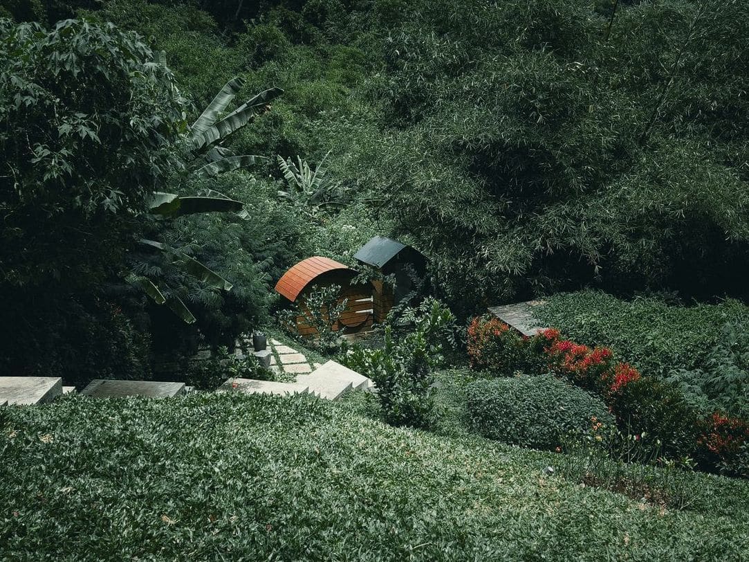 Jardin Harmonie 9